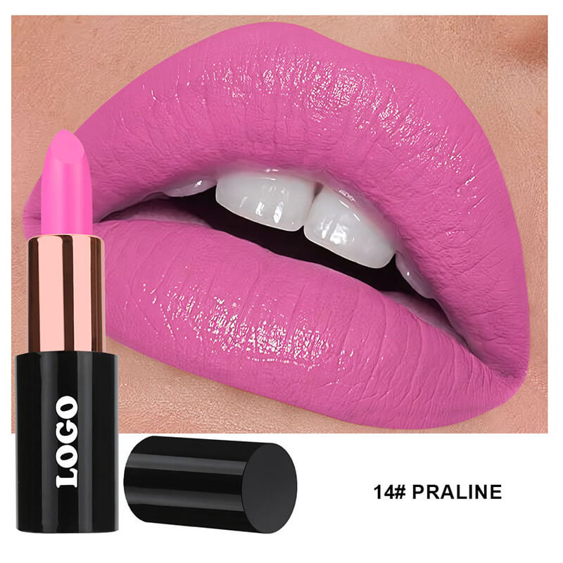 24 color matte lipstick moisturing vegan high pigmented