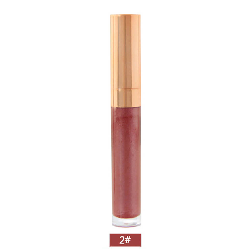 6 color lip gloss nude shimmer high pigmented gold tube