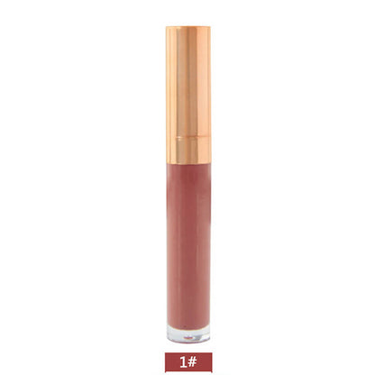 6 color lip gloss nude shimmer high pigmented gold tube