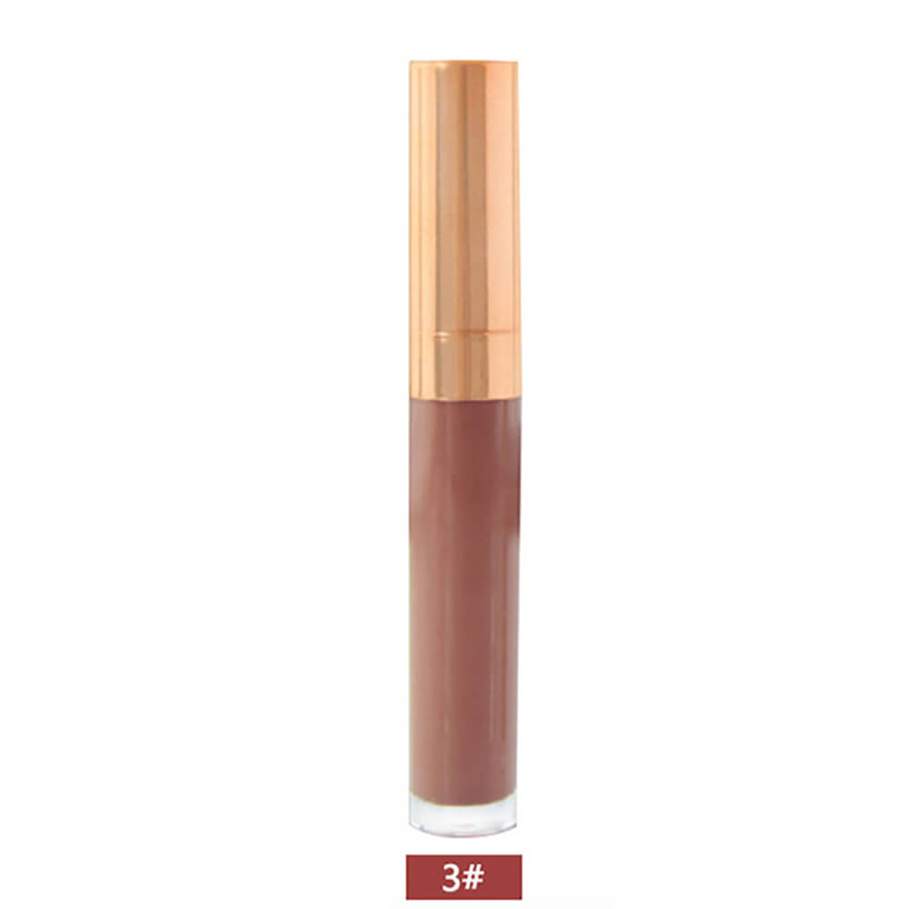 6 color lip gloss nude shimmer high pigmented gold tube