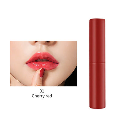 6 color lip gloss lip stain cheek blush high pigmented long lasting