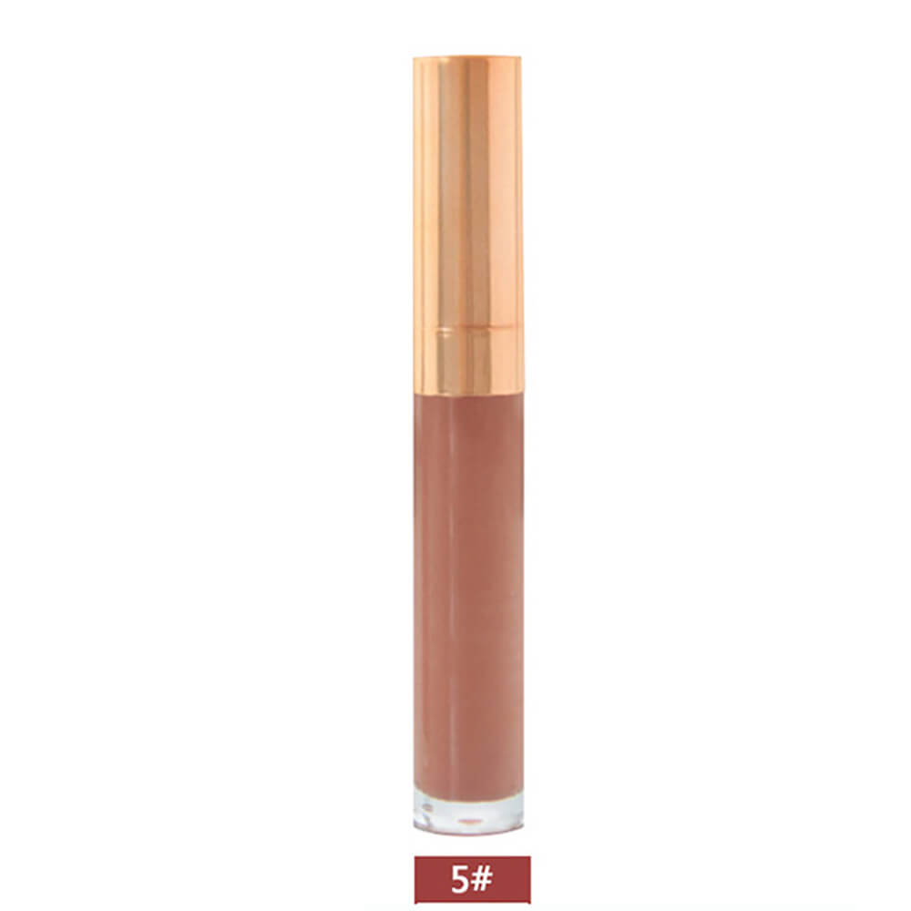 6 color lip gloss nude shimmer high pigmented gold tube