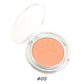 10 color blush powder blusher cute cat's paw high pigmented