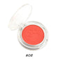 10 color blush powder blusher cute cat's paw high pigmented