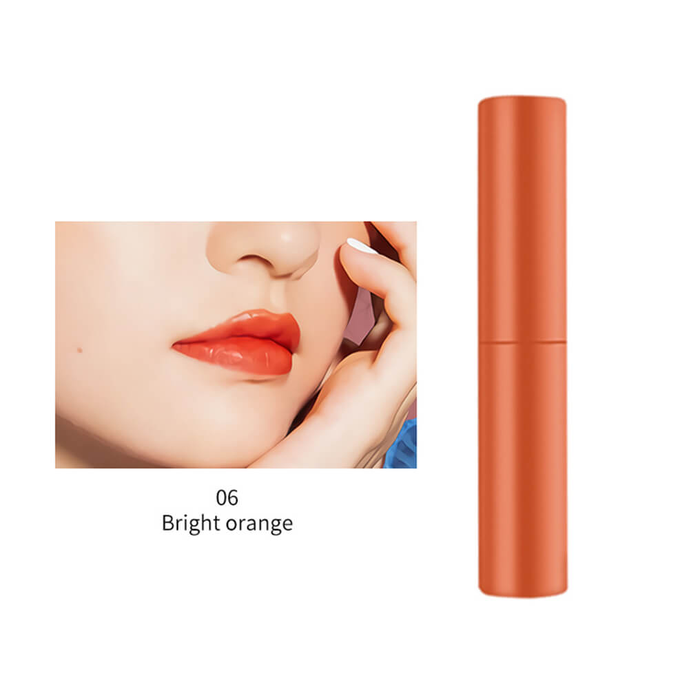 6 color lip gloss lip stain cheek blush high pigmented long lasting