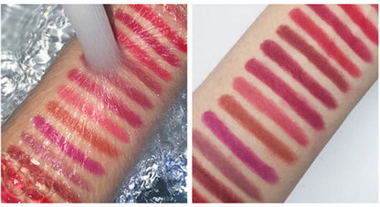 Delineador de labios de 12 colores Swivel High Pigment