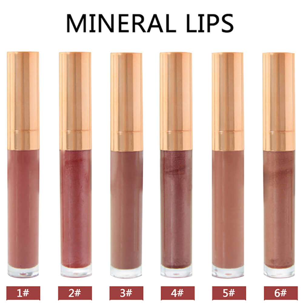 6 color lip gloss nude shimmer gold tube