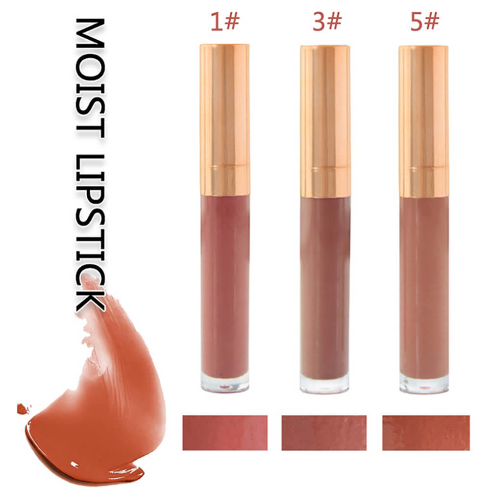 6 color lip gloss nude shimmer gold tube